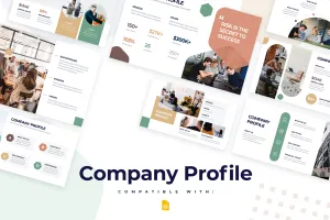 Company Profile Infographic Google Slides Template